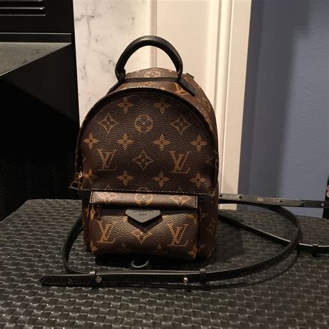 louis vuitton mini palms spring|louis vuitton palm springs backpack.